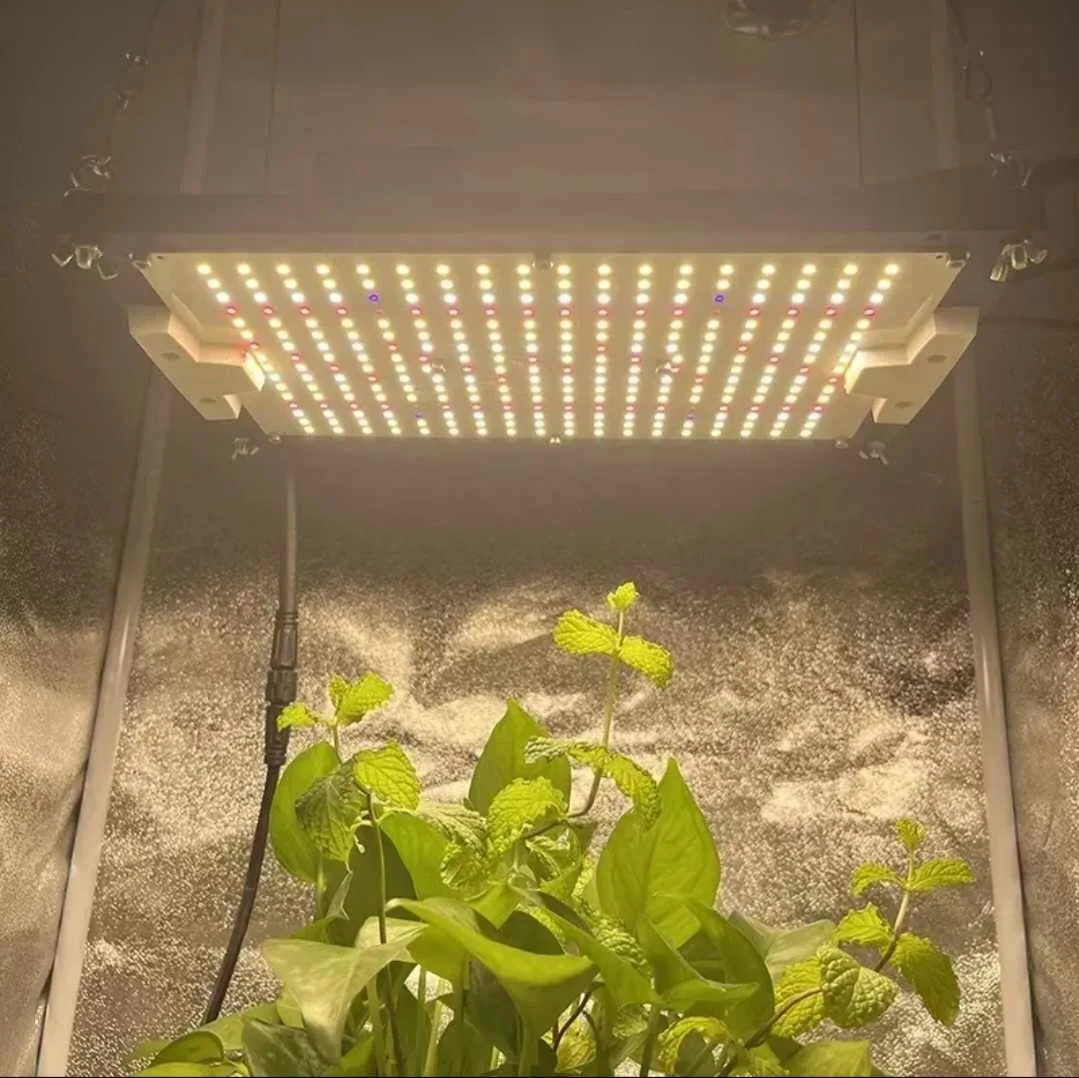 Panel LED Quantum Samsung lm301h Evo 150w - Imagen 2